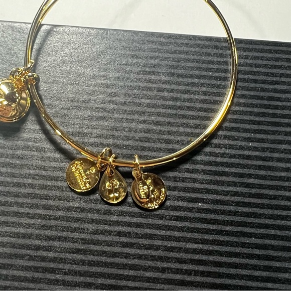 NEW Alex and Ani Topaz Birthstone Bracelet Gold Orange Charms - Picture 4 of 8
